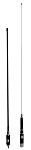 cd17